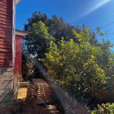 p20266442mas-7