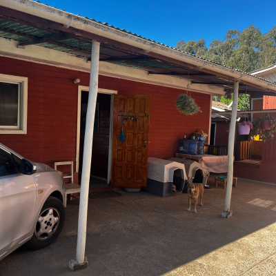 p20266442mas-8