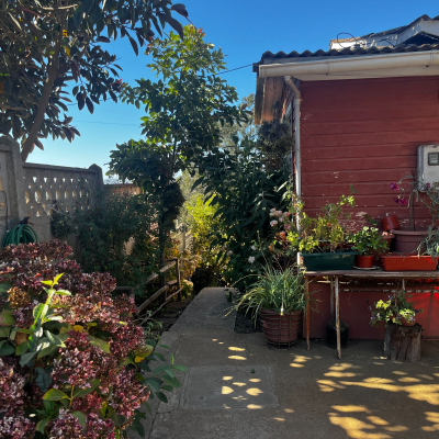 p20266442mas-9