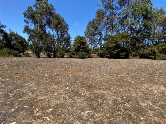 114053785-5