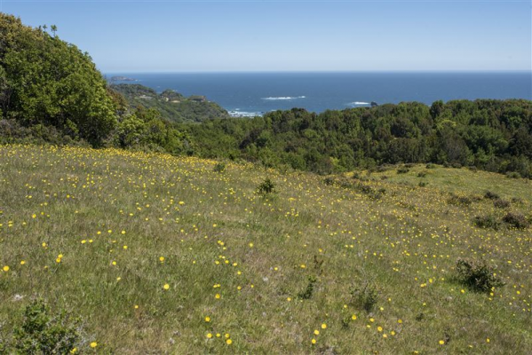 116057969-4