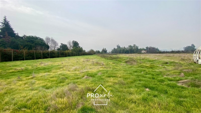 -13