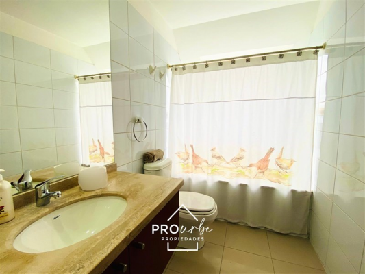 -19