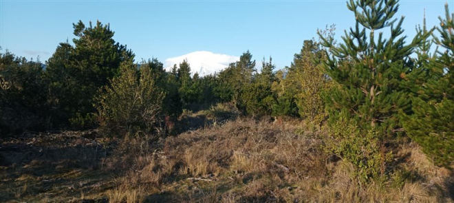 114059377-5