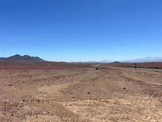 104059629-8
