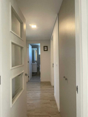 -8