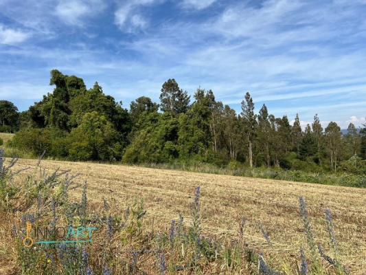 -13