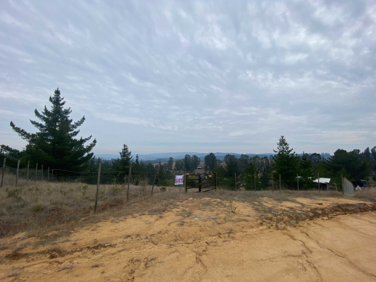 venta-terreno-en-aguada-bucalemu-(75987)-4