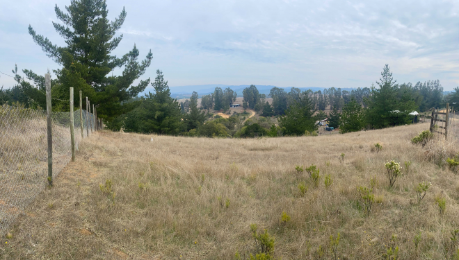venta-terreno-en-aguada-bucalemu-(75987)-6