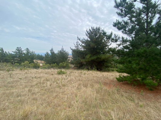 venta-terreno-en-aguada-bucalemu-(75987)-7