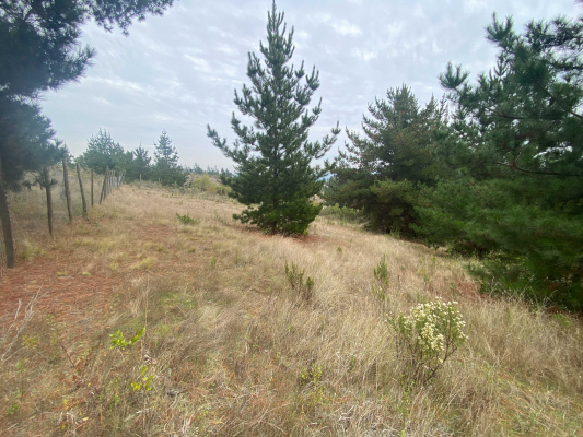venta-terreno-en-aguada-bucalemu-(75987)-9