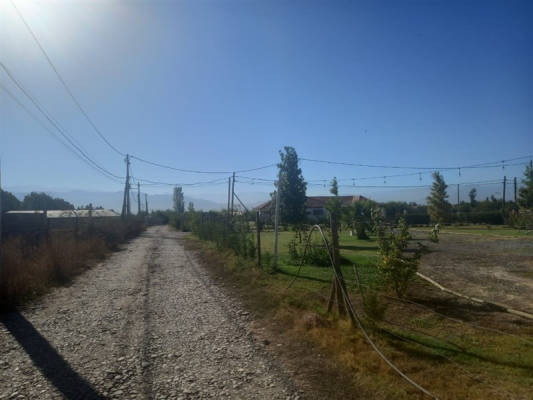 114108578-3