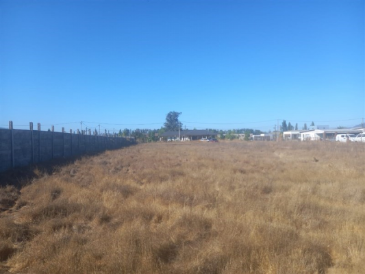 114108578-7
