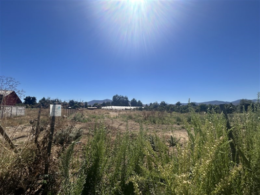 104108595-6