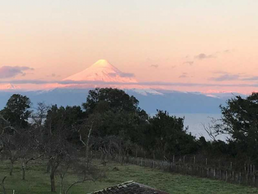 hermosa-propiedad-orilla-lago-llanquihue-(133567)-8