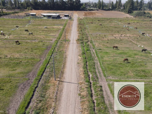 104137978-5