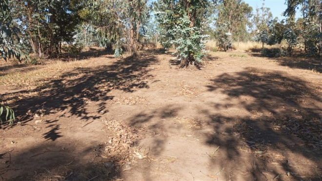 116108680-7
