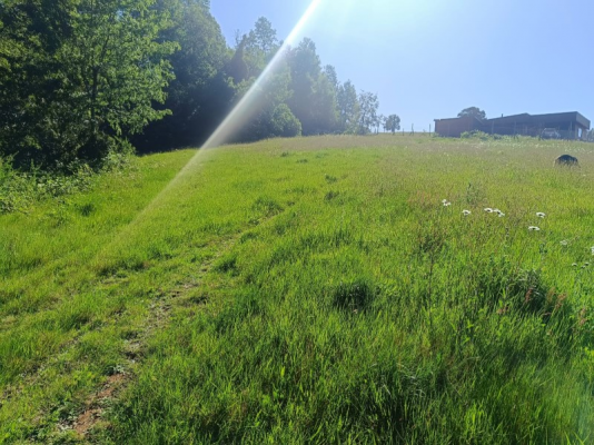 -20
