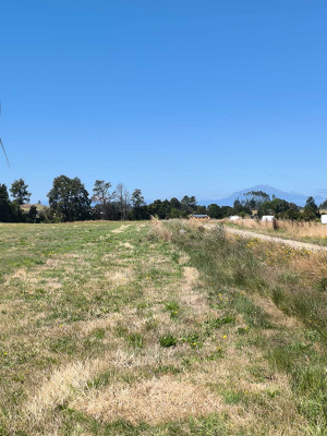 parcela-5000-m²-a-25-min-de-puerto-varas-(151091)-3