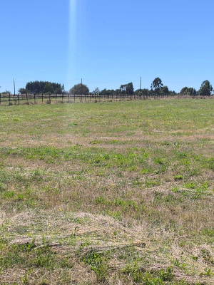 parcela-5000-m²-a-25-min-de-puerto-varas-(151091)-6