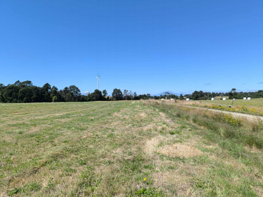 parcela-5000-m²-a-25-min-de-puerto-varas-(151091)-7