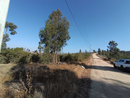 oportuidad-parcela-en-5000-m2-limache-(142224)-3