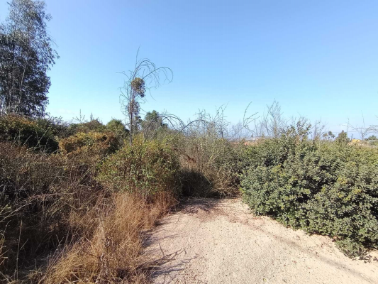 oportuidad-parcela-en-5000-m2-limache-(142224)-9