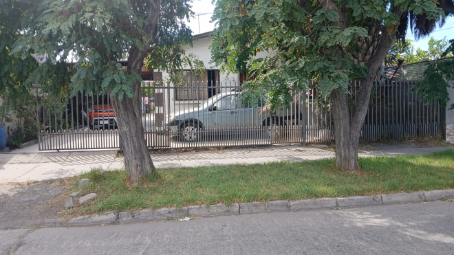 p20266664mds-4