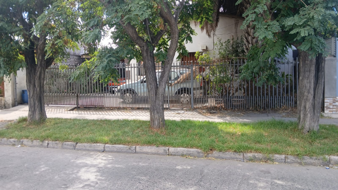 p20266664mds-5