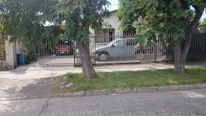 p20266664mds-7
