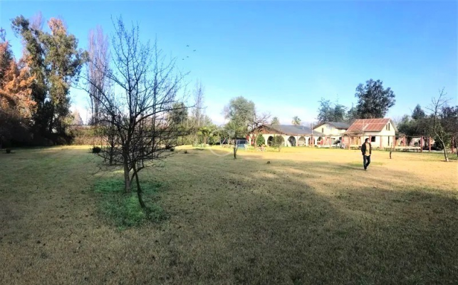 -11