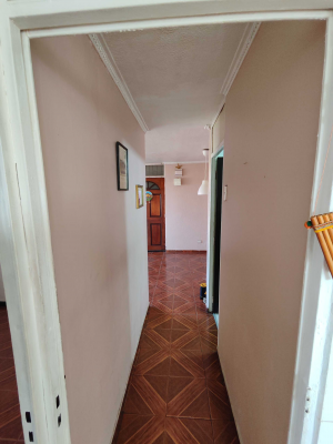 departamento-san-ramon-(110308)-9