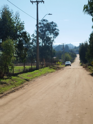 p20266678shi-5