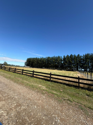 p20266682rmx-6