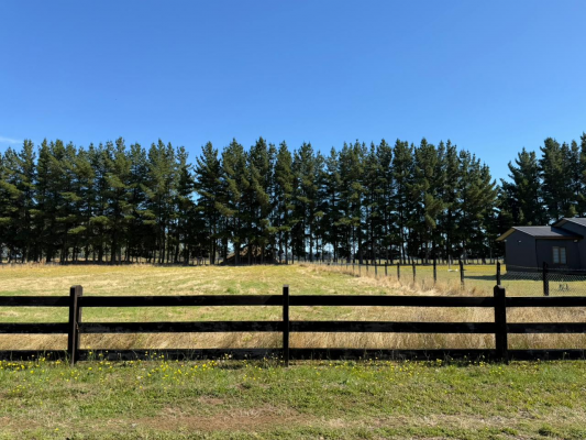 p20266682rmx-7