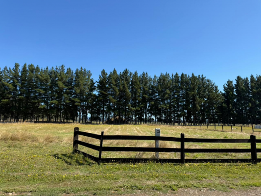 p20266682rmx-8