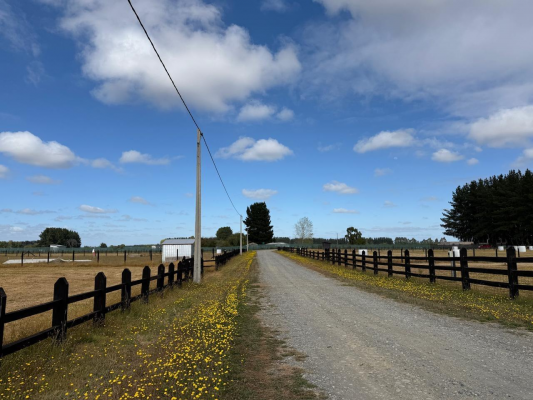 p20266682rmx-9