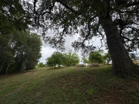 p20266692mji-3