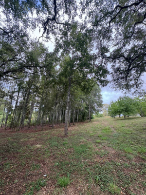 p20266692mji-4