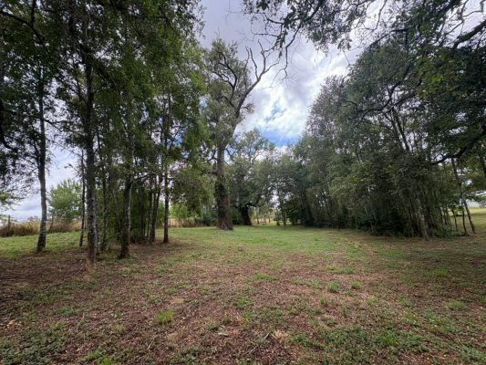 p20266692mji-6