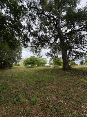 p20266692mji-7