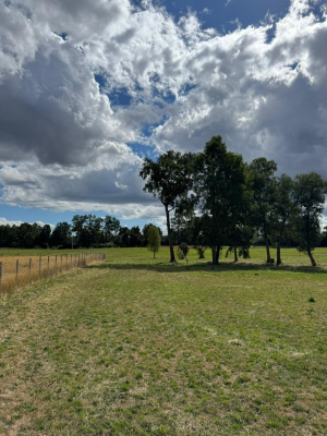 p20266697aoe-9