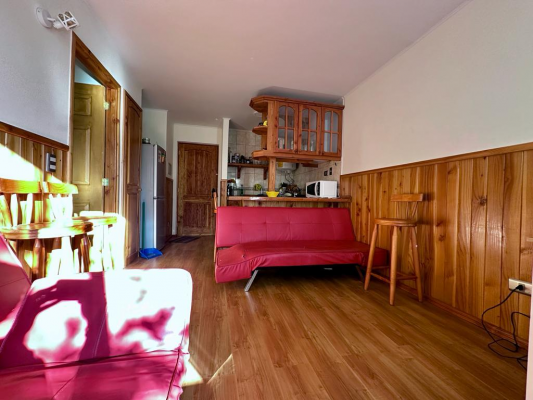 oportunidad-para-invertir-en-el-sur-de-chile-7