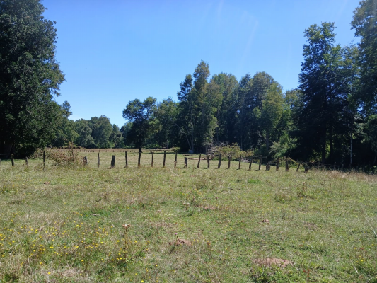 campo-de-5-hectareas-subdividido-en-10-parcelas-3