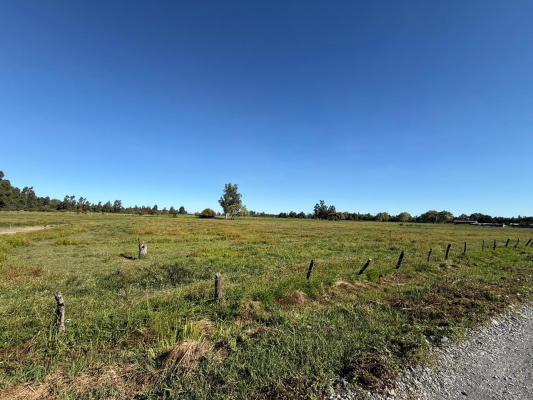 en-venta-terreno-a-800-metros-de-variante-na-3