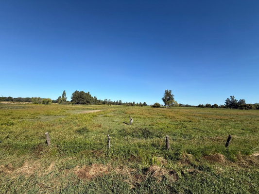 en-venta-terreno-a-800-metros-de-variante-na-5