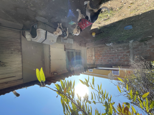 venta-de-casa-cerca-de-santa-rosa-con-vespucio-sur-4