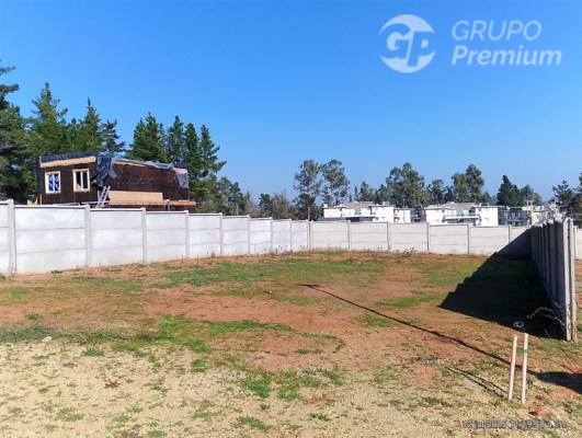-7