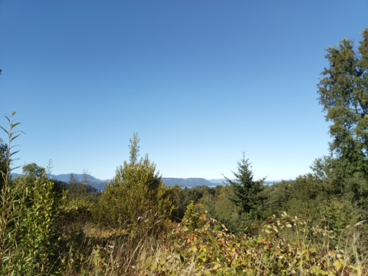 terreno-en-altura-con-vista-al-lago-calafquen,--7