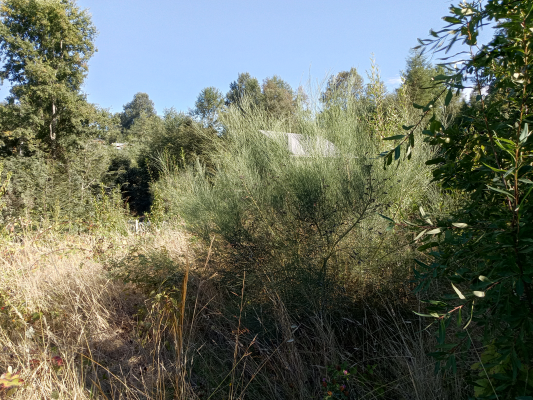 terreno-en-altura-con-vista-al-lago-calafquen,--8